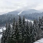 Hvoya & Hotel Bukovel