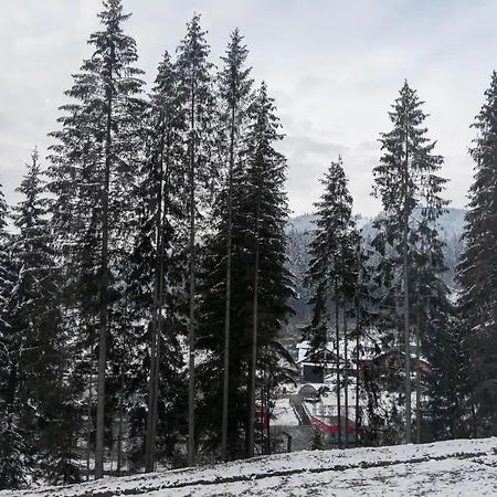 Hotel Hvoya 3*